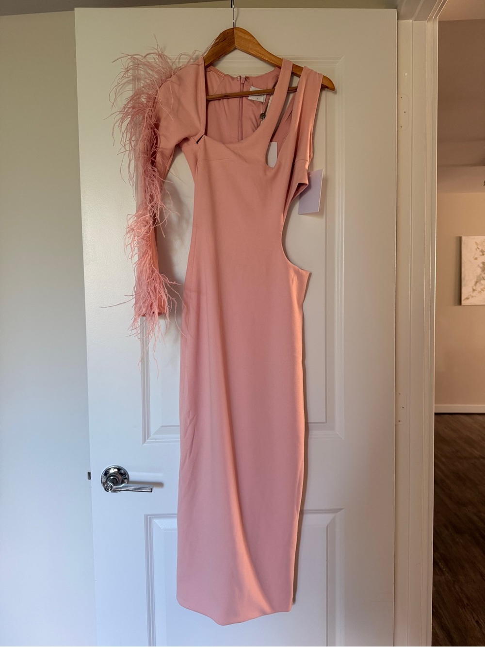 Alamour The Label Blush One-Shoulder Feather-Trim Midi Dress